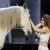 KHAZ Country Music News:  Shania Twain Offers 22 More Reasons She’s Still the One