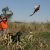 Kansas officials play up revenue from hunters