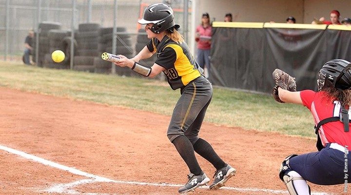 Tiger softball splits with Wayne State