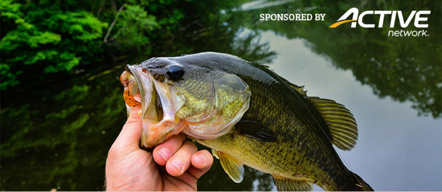 Kansas lifetime fishing license sweepstakes