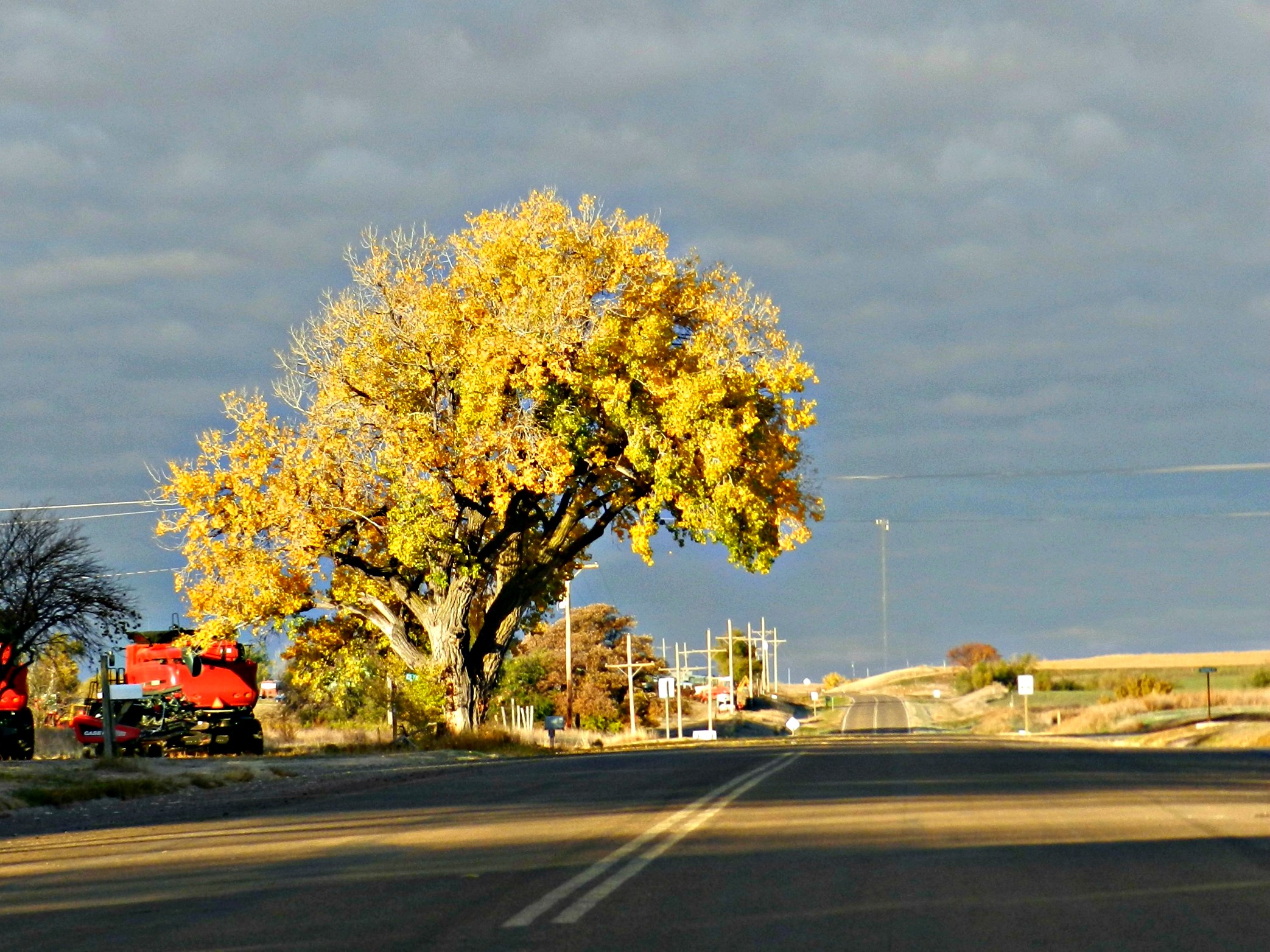MADORIN: Mother Nature’s trick on fall lovers