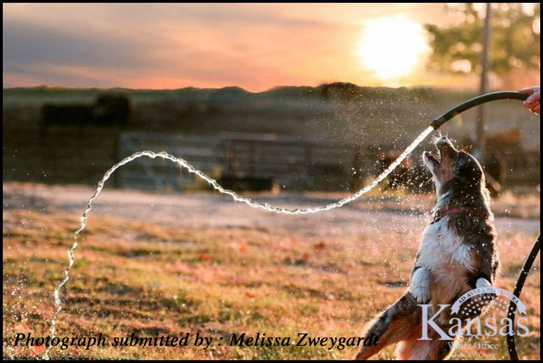 Kan. Water Office photo contest winners include NW. Kansan