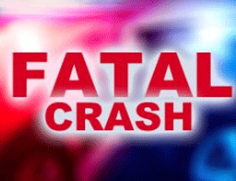 Kansas woman dies after car rear-ends semi, hits tree