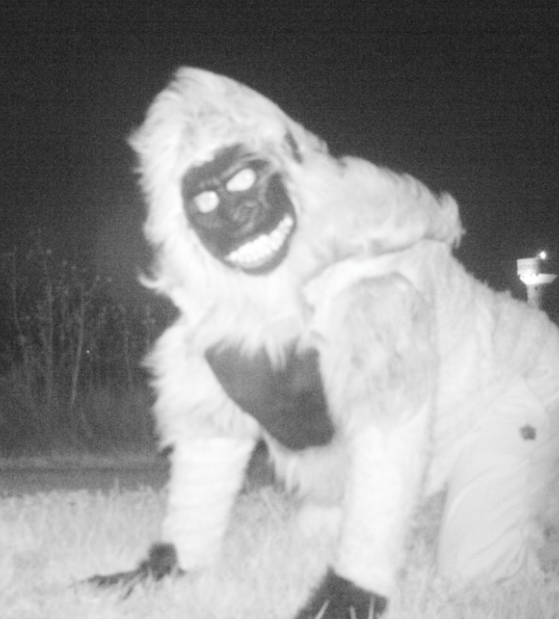 Kan. wildlife cameras capture jokers dressed as monsters