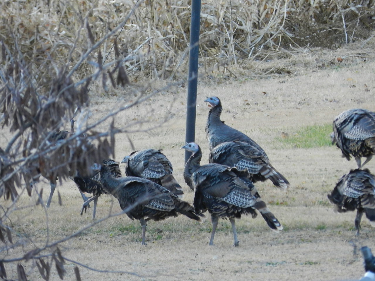 MADORIN: An unexpected bonus