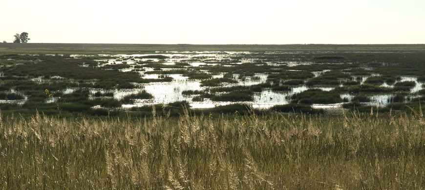 How to manage playa lakes on W. Kansas farms, ranches