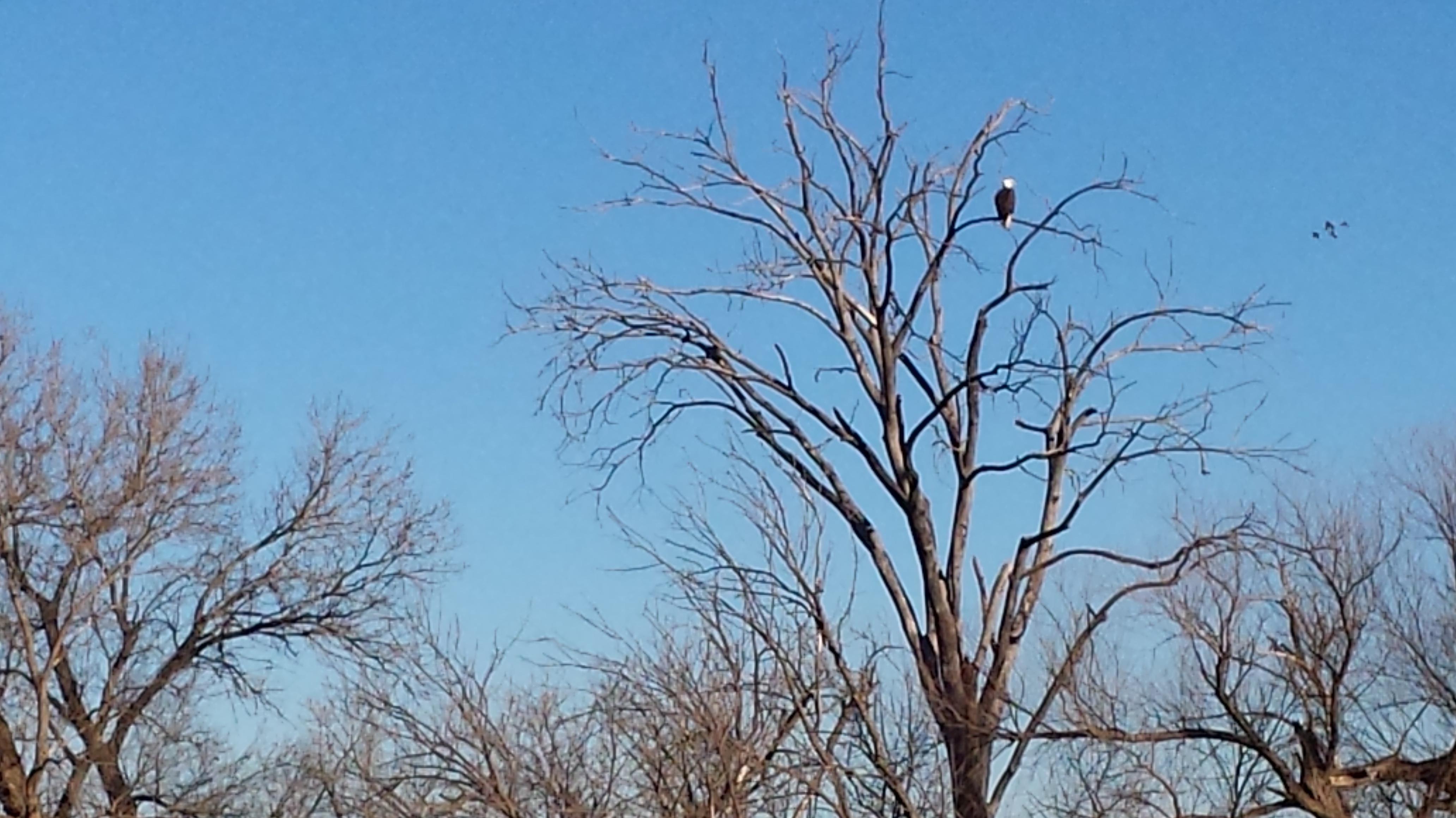 Exploring Kan. Outdoors: Just what will I see at the Sinkhole today?
