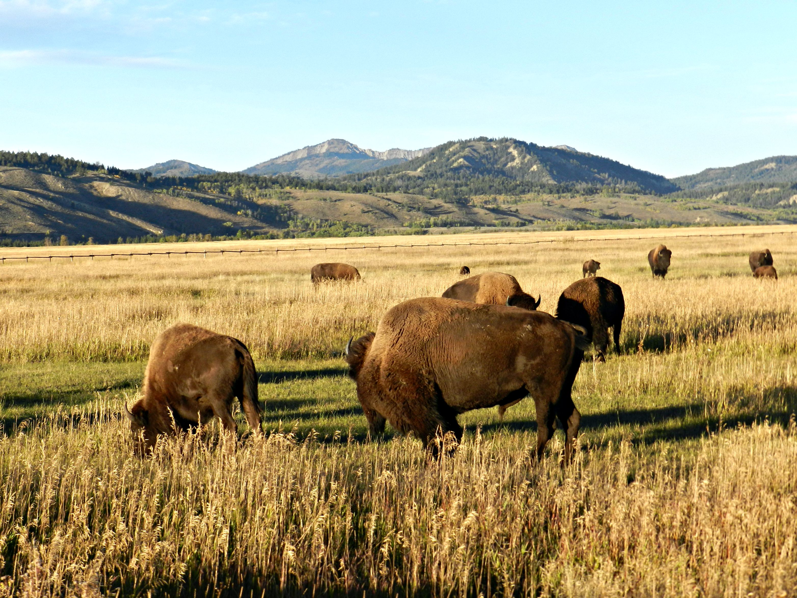 MADORIN: Perfectly designed to plow snow