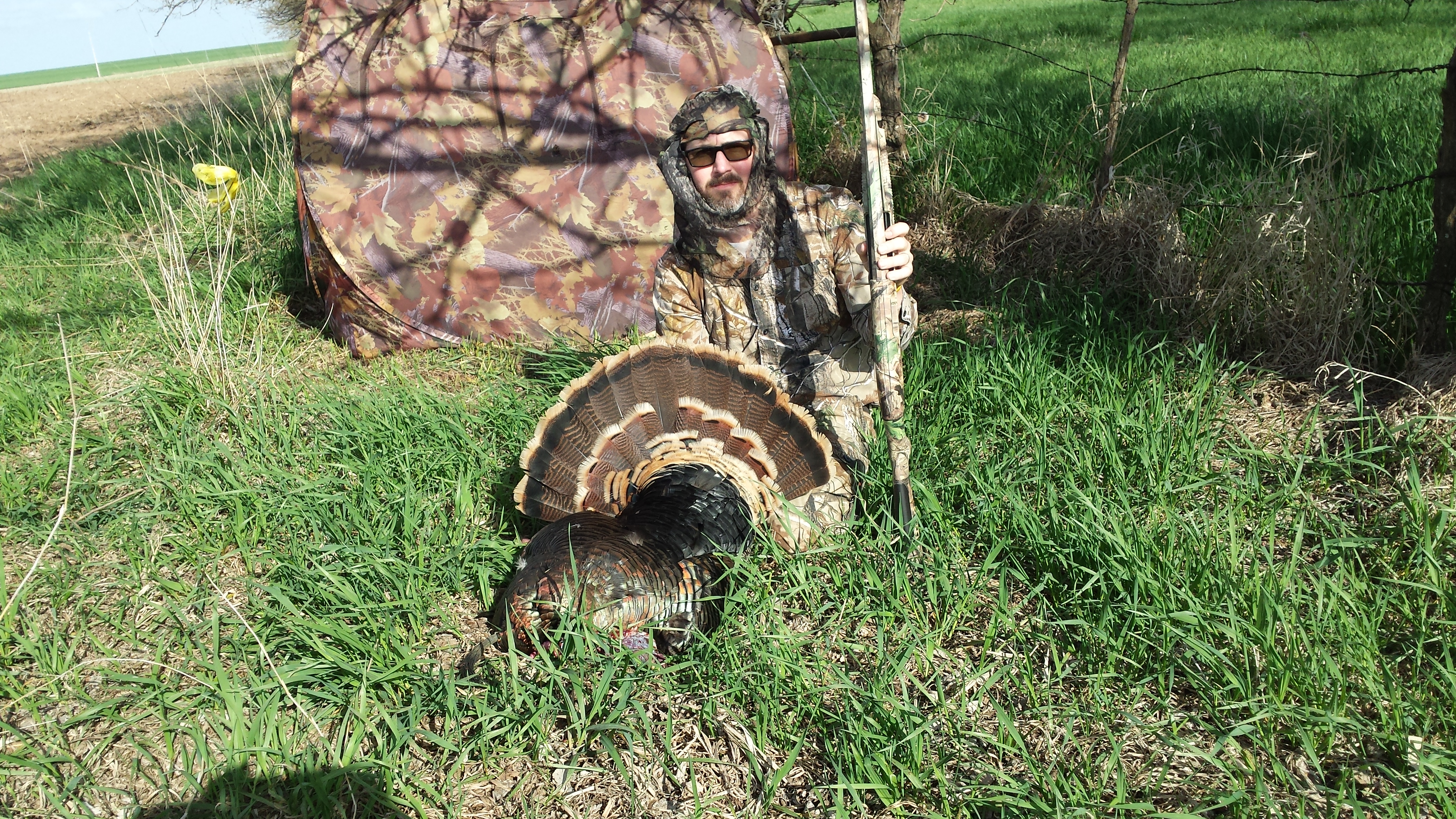 Exploring Kan. Outdoors: Kansas turkeys in the wind