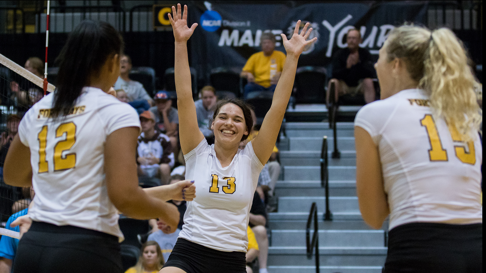 Tiger volleyball cruises past Lions