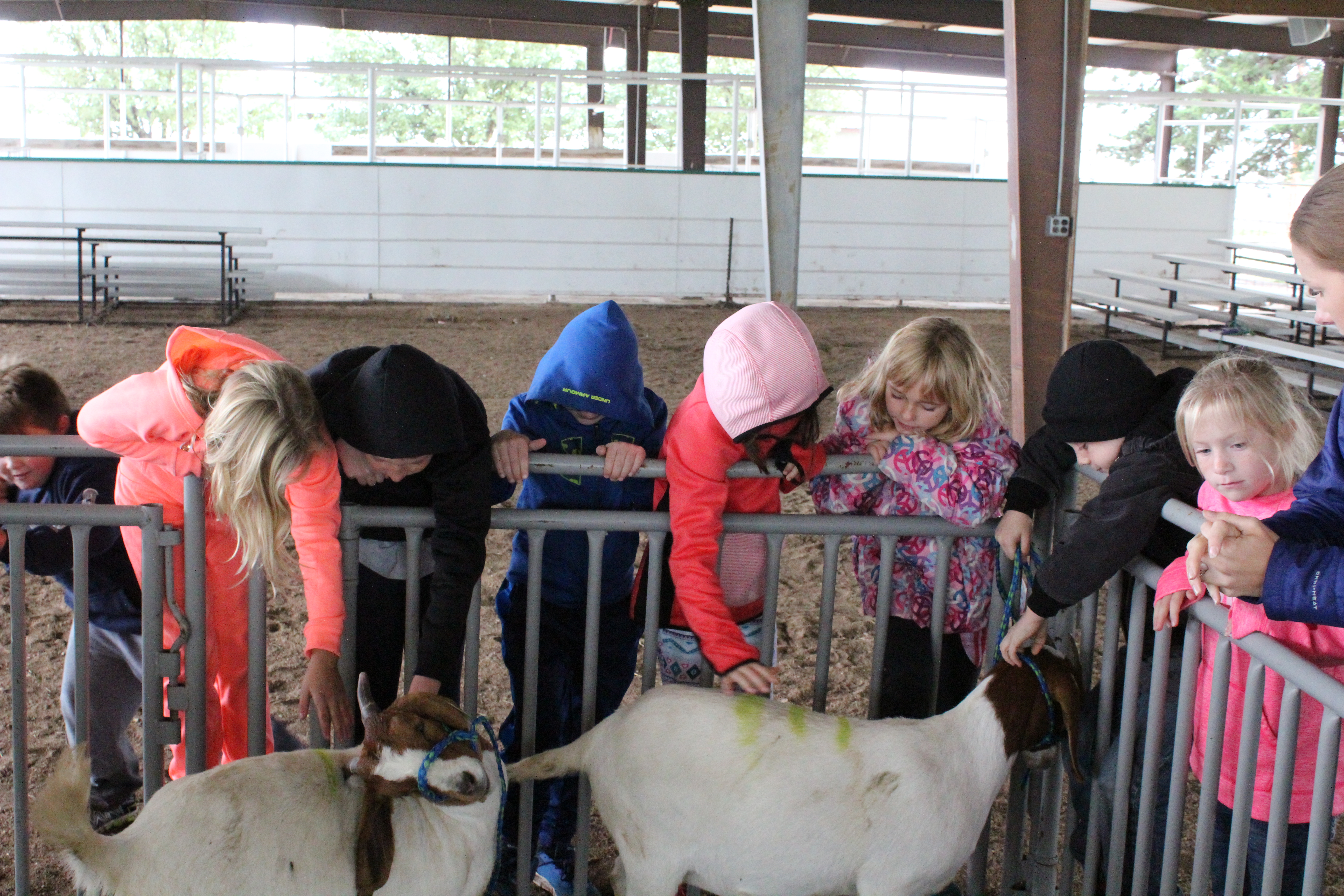La Crosse FFA hosts Day on the Farm