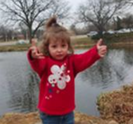 Suit blames Kansas foster agency after 2-year-old killed by dogs