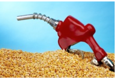 Trump to allow year-round sales of high-ethanol gasoline