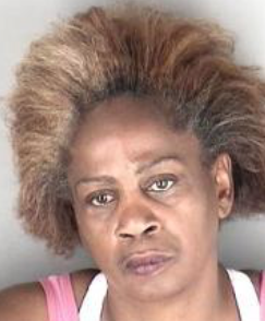 Kan. felon arrested after fight with officers at public library