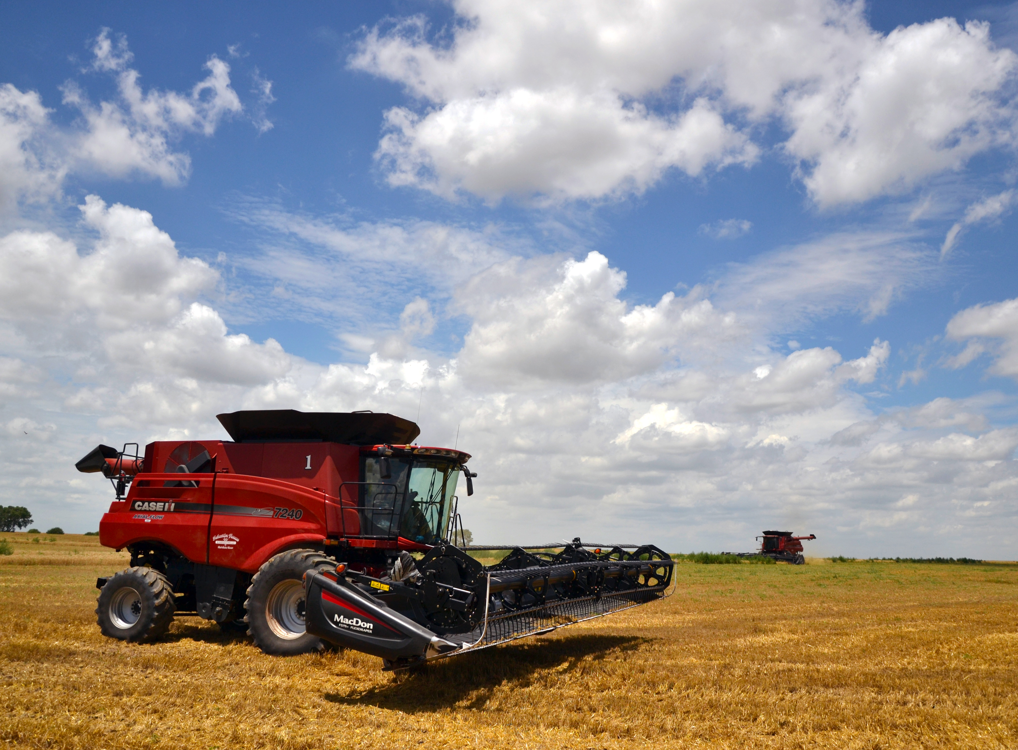 Winter wheat harvest in Ellis county 2019