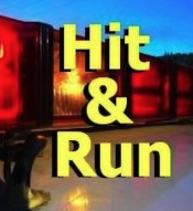 Police: Hit and run driver injures two pedestrians, kills dog